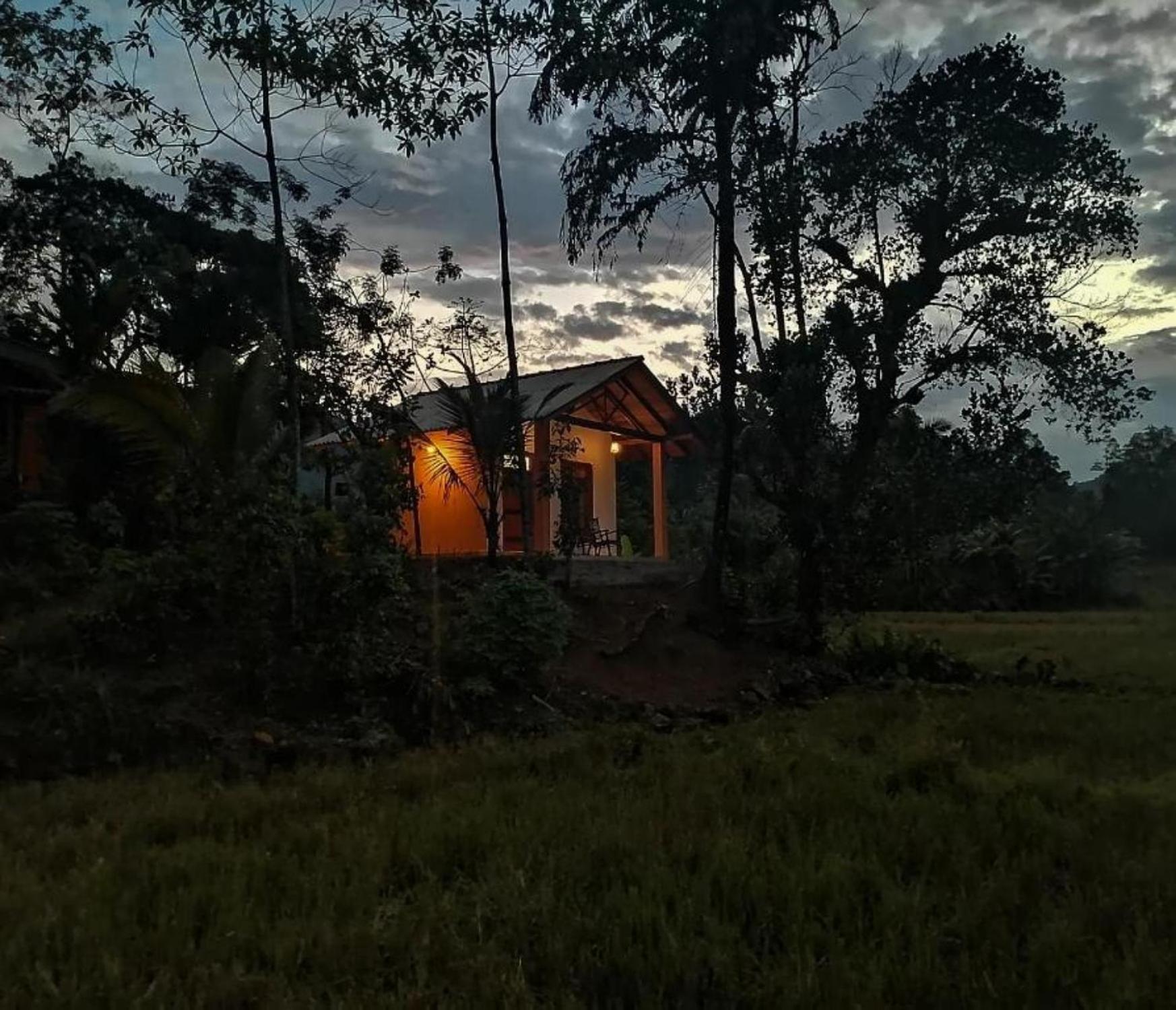 Forest & Fields Sinharaja Deniyaya Buitenkant foto