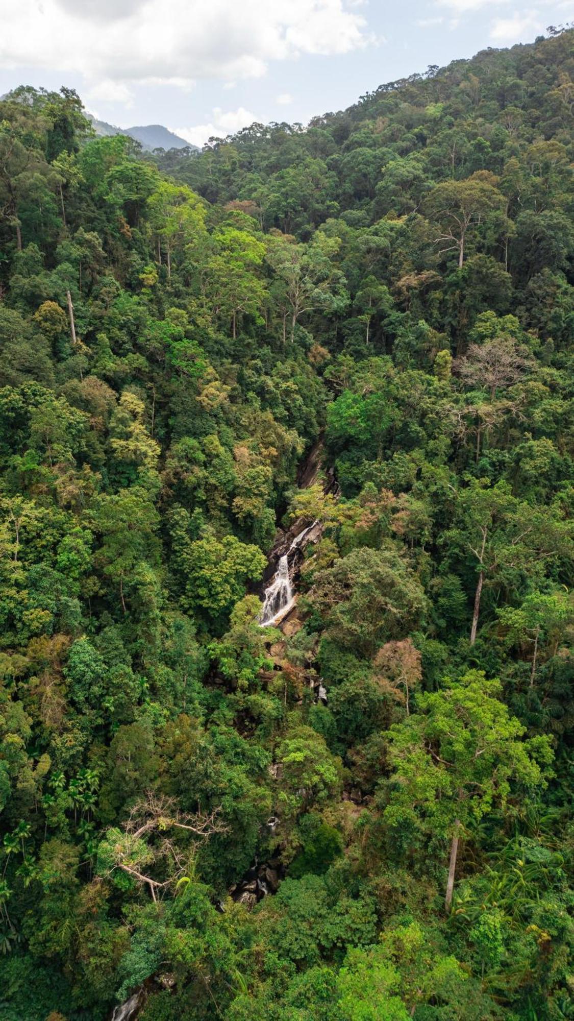 Forest & Fields Sinharaja Deniyaya Buitenkant foto