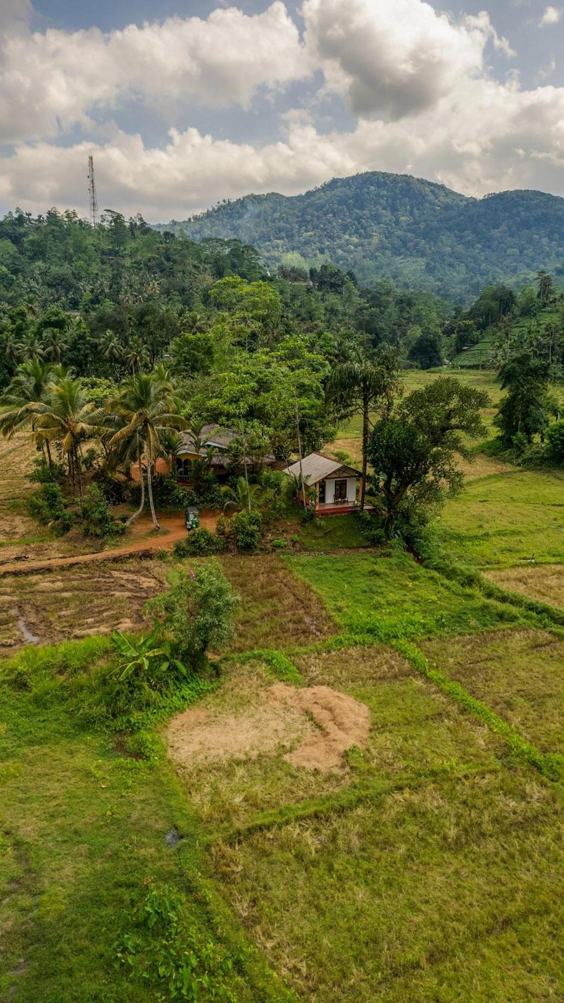 Forest & Fields Sinharaja Deniyaya Buitenkant foto
