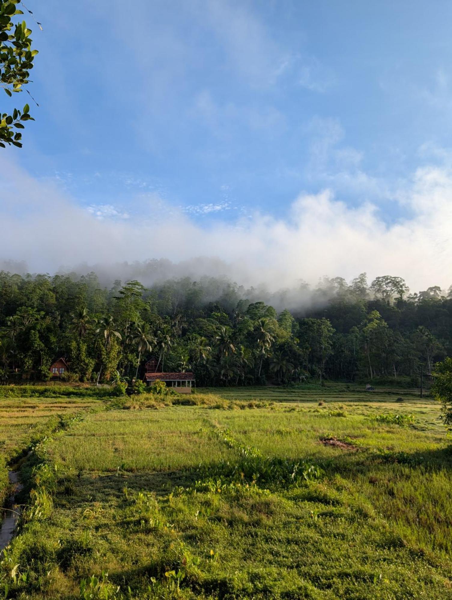 Forest & Fields Sinharaja Deniyaya Buitenkant foto